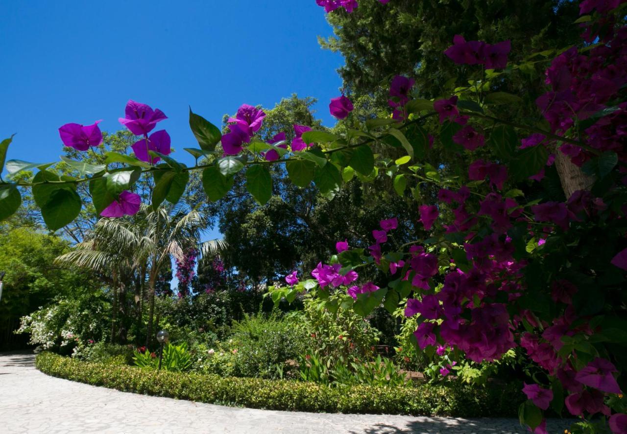 Villa Pampalone - B&B In Dimora Storica Trapani Exterior foto